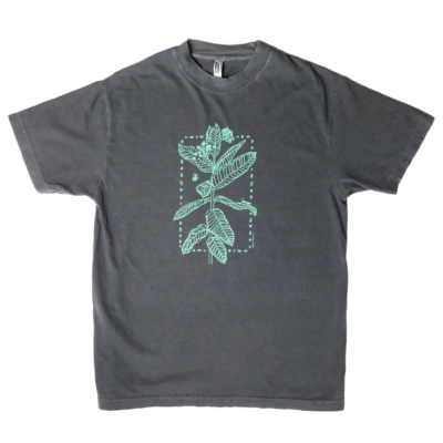 Milkweed tee