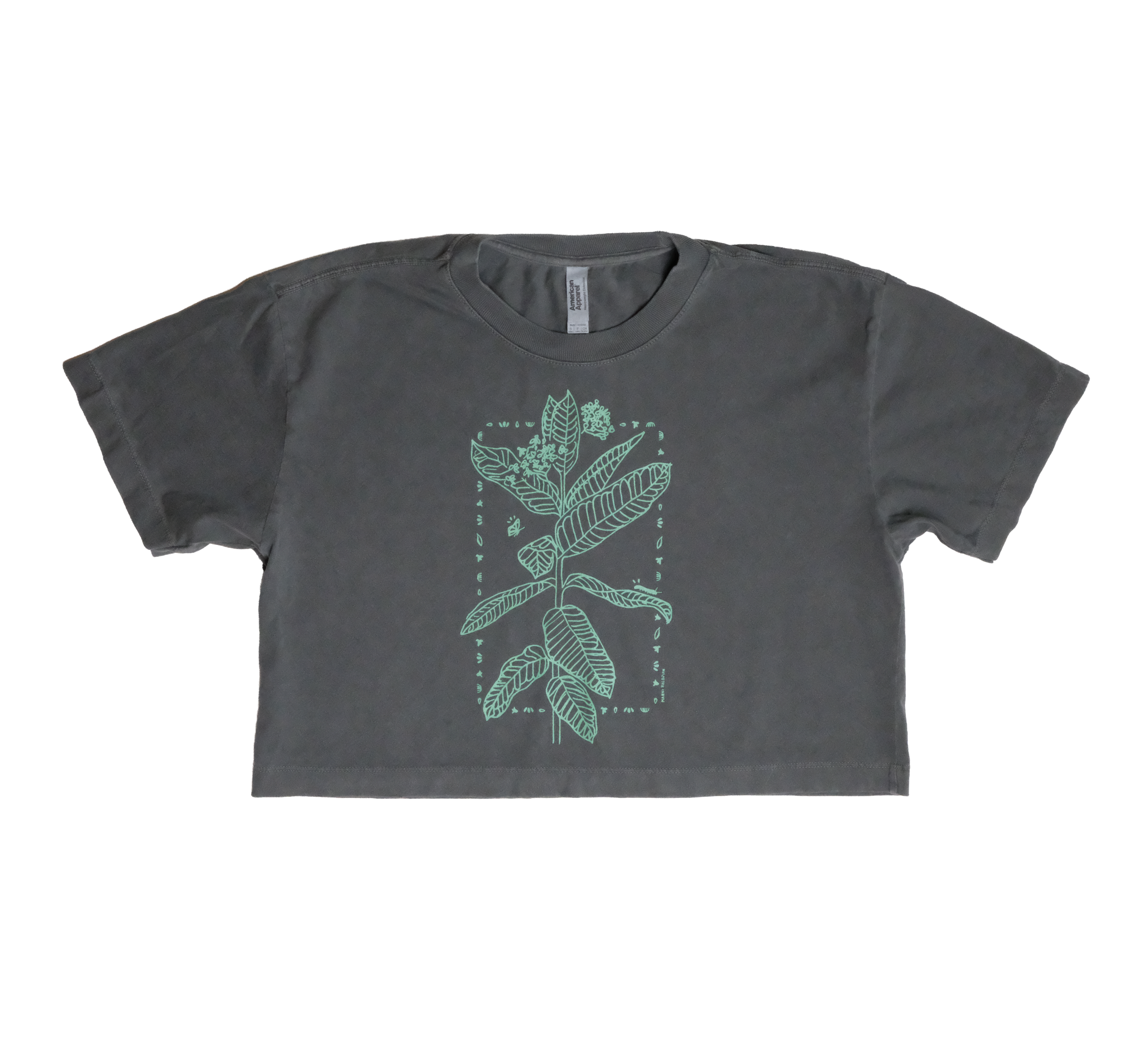 Milkweed crop